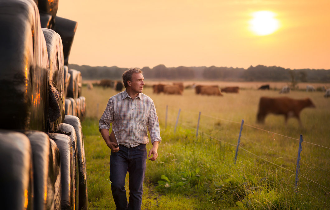 Case Study: Why you shouldn’t make handshake deals when it comes to the family farm